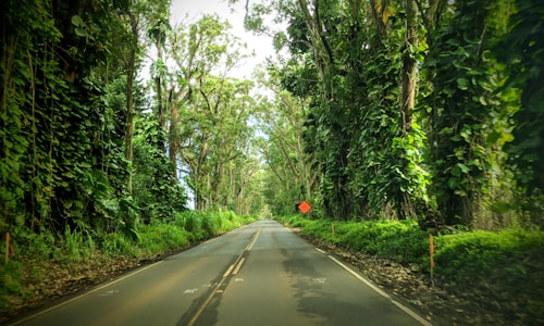 Oahu Hawaiian island